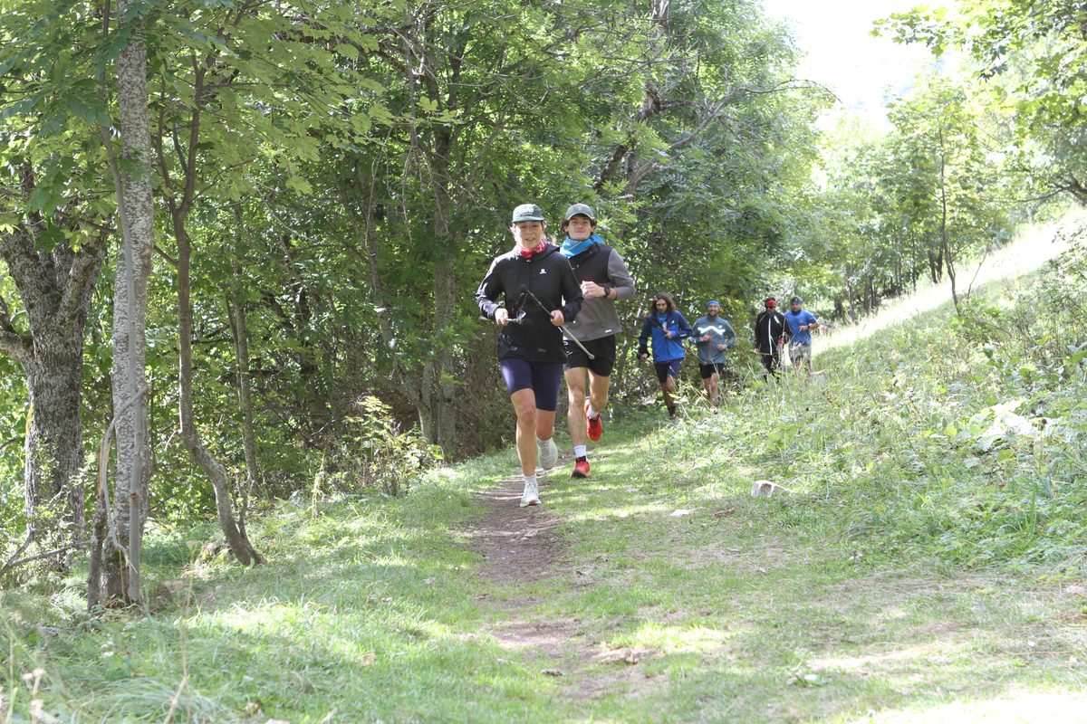 Trail en forêt